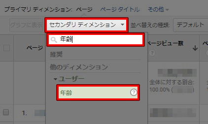 セカンダリディメンション 年齢
