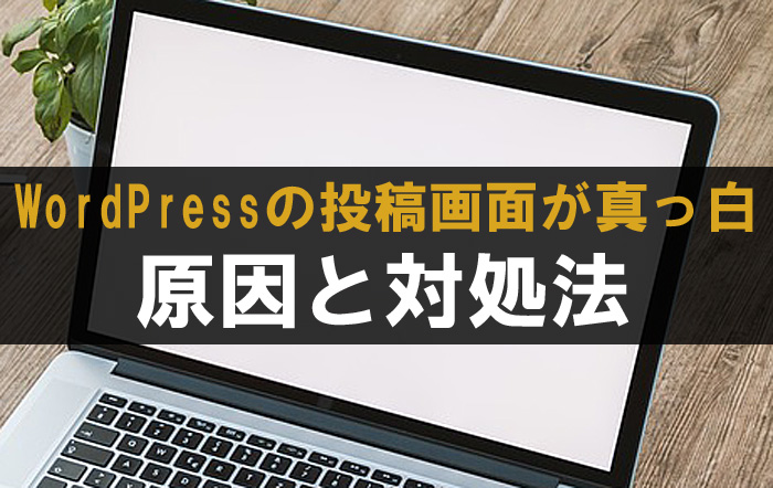 ワードプレス 投稿画面 不具合